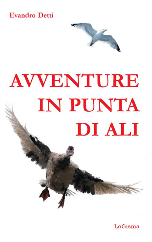 Avventure in punta di ali