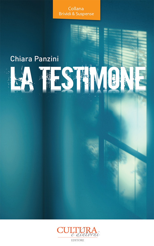 La testimone. Le indagini della giovane detective Judith Lay