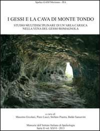 I gessi e la cava di Monte Tondo. Studio multidisciplinare di un'area nella vena del gesso Romagnola