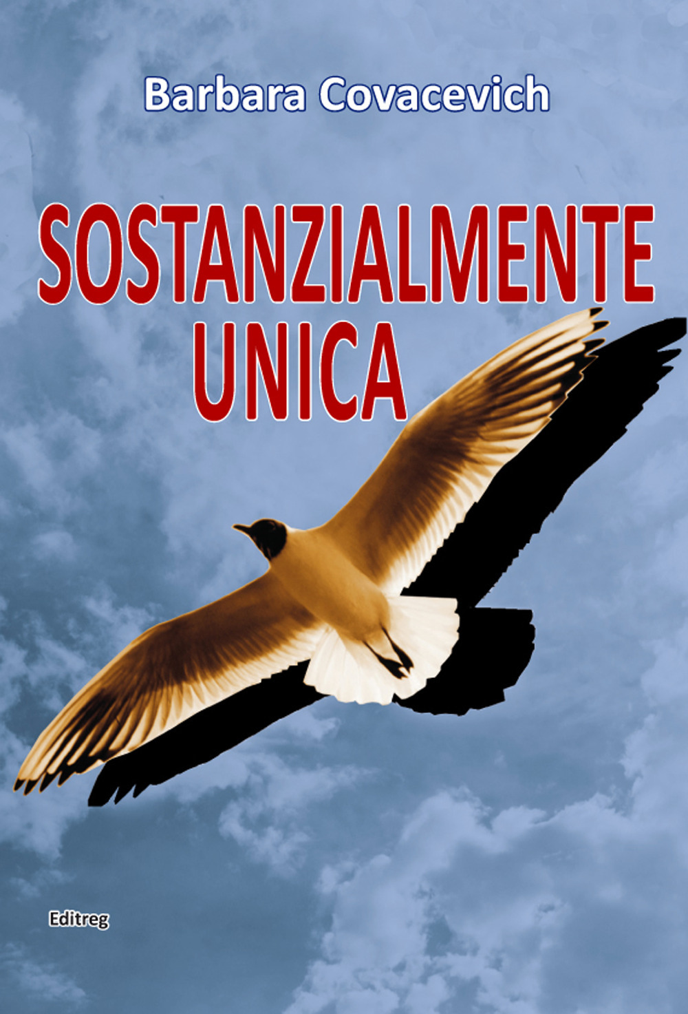 Sostanzialmente unica