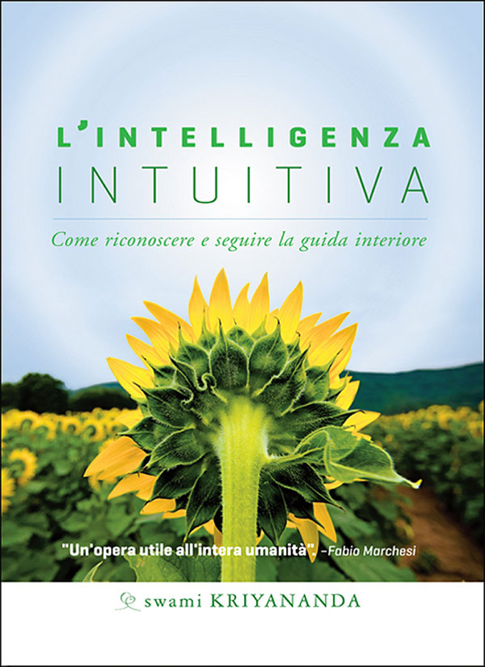 L'intelligenza intuitiva. Come riconoscere e seguire la guida interiore