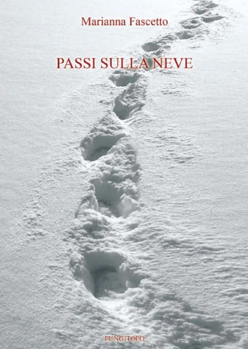 Passi sulla neve