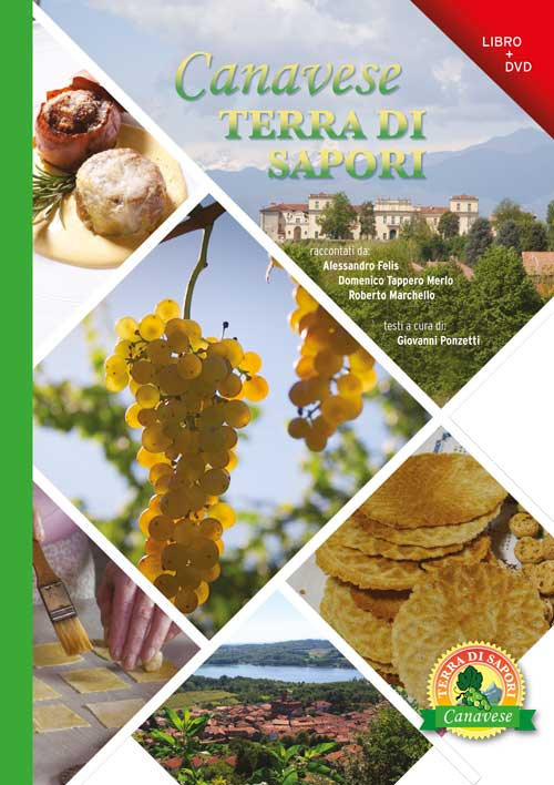 Canavese terra di sapori. Con DVD video