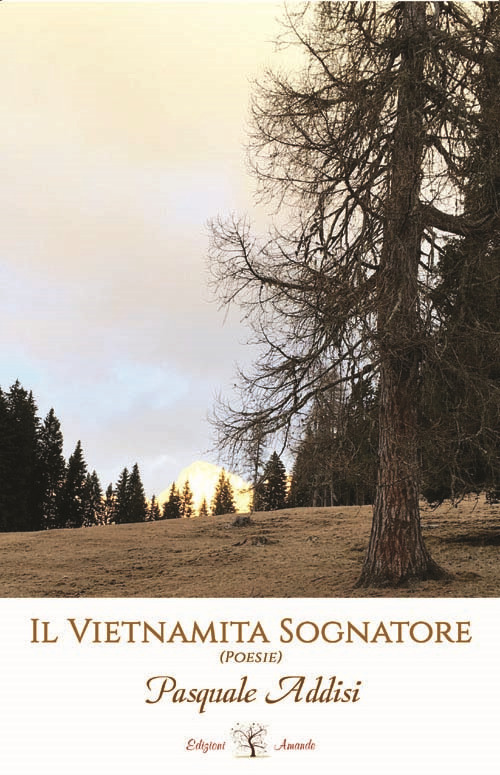 Il vietnamita sognatore