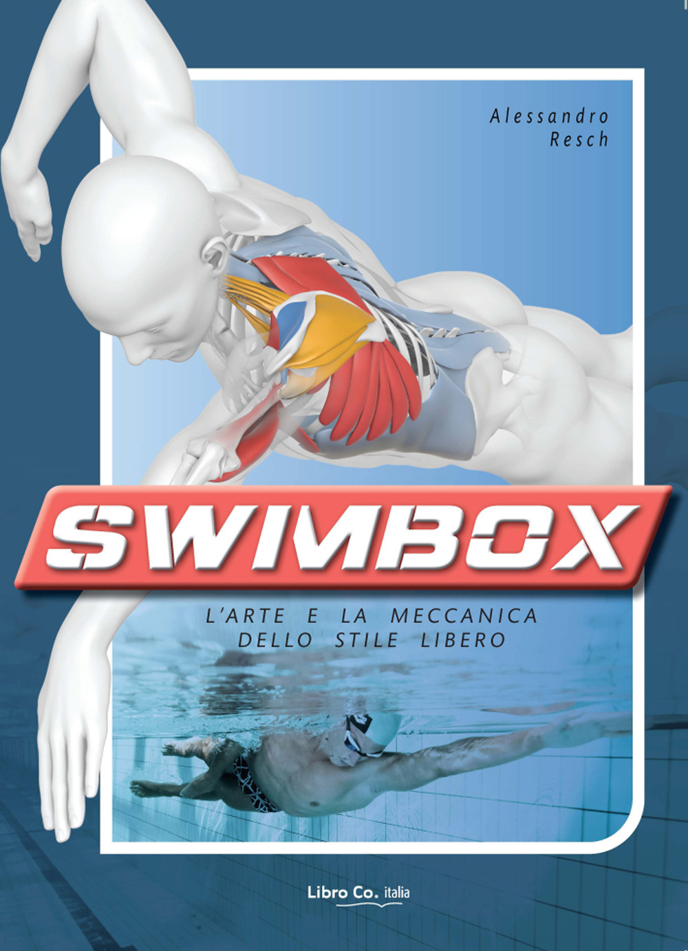 Swimbox. L'arte e la meccanica dello stile libero