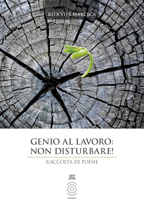 Genio al lavoro. Non disturbare! Raccolta di poesie