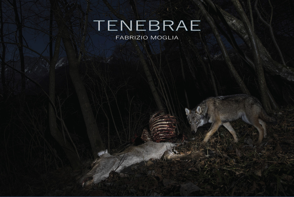 Tenebrae