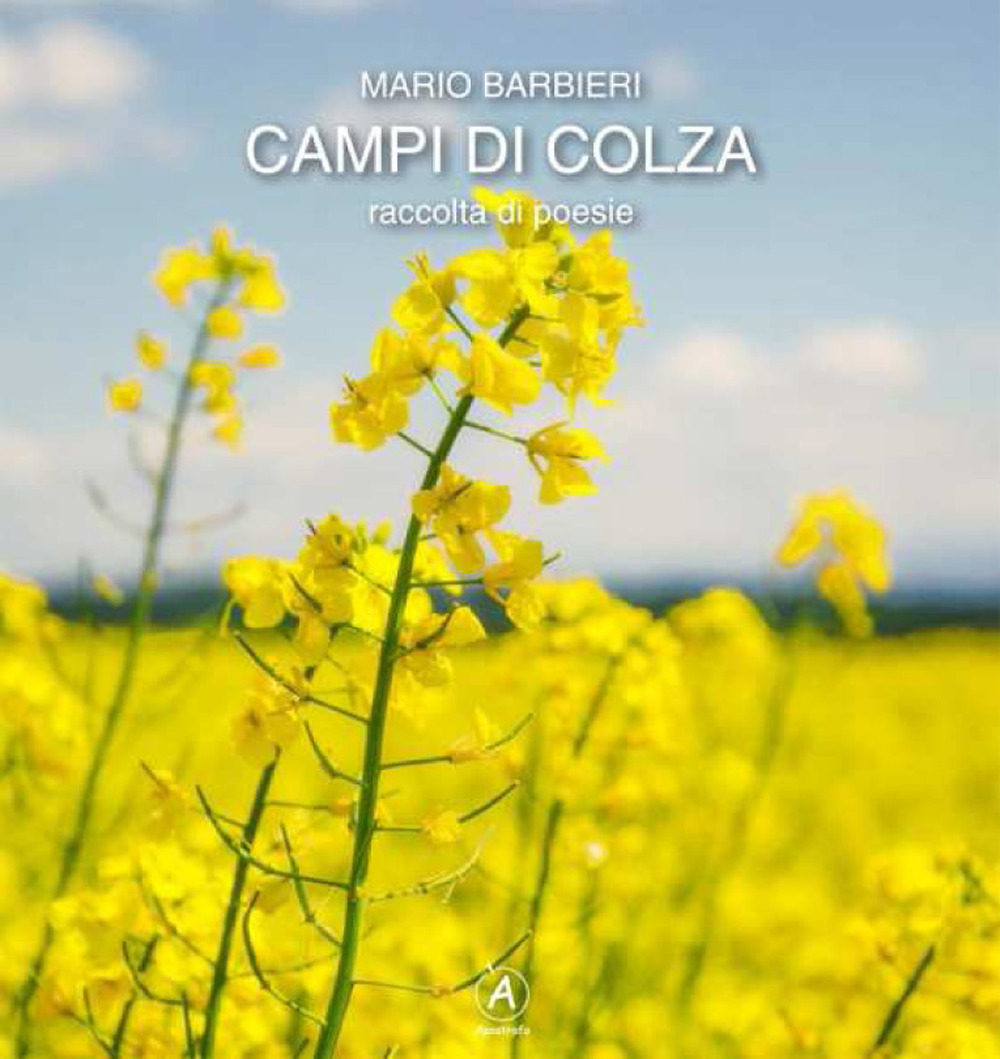 Campi di colza