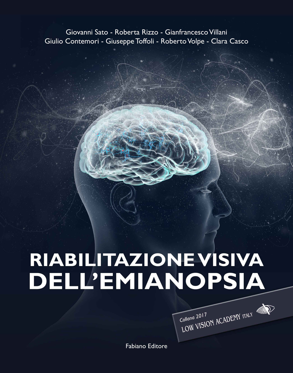 Riabilitazione visiva dell'emianopsia