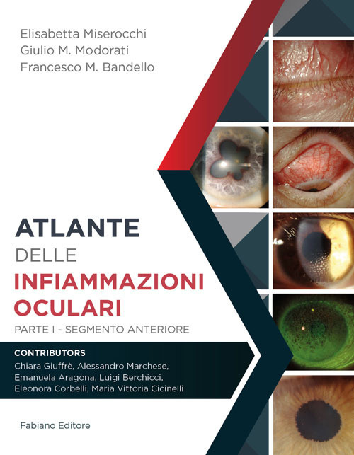 Atlante delle infiammazioni oculari. Ediz. per la scuola. Vol. 1: Segmento anteriore