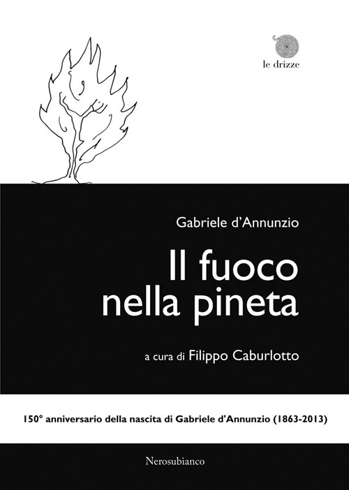 Il fuoco nella pineta