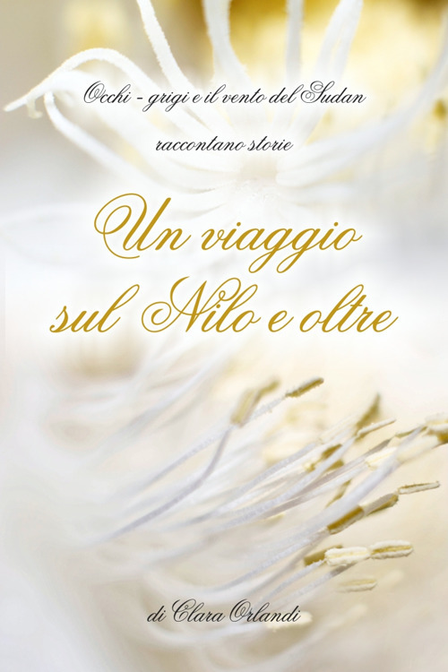 Un viaggio sul Nilo e oltre. Occhi-grigi e il vento del Sudan raccontano storie
