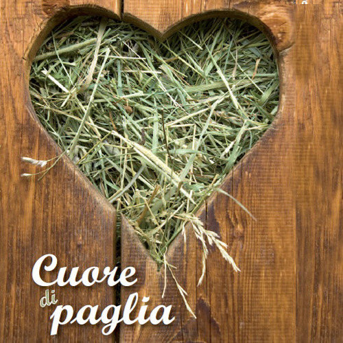 Cuore di paglia