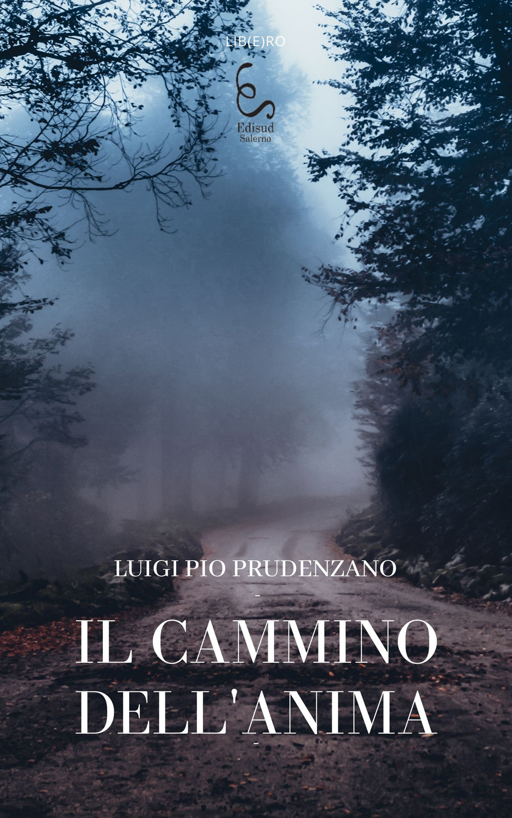 Il cammino dell'anima