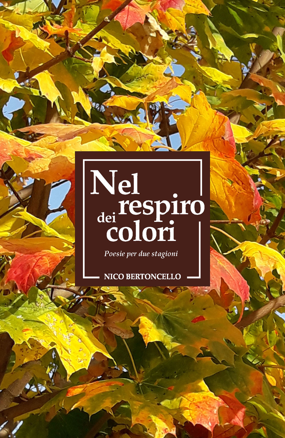 Nel respiro dei colori. Poesie per due stagioni