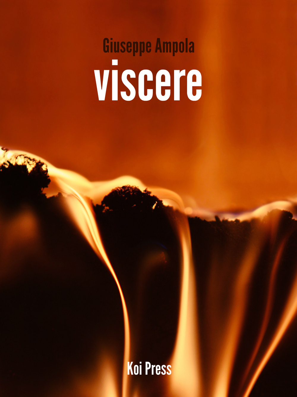 Viscere