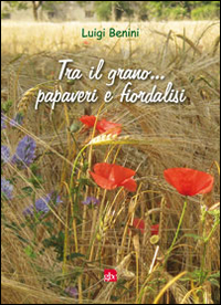 Tra il grano... papaveri e fiordalisi