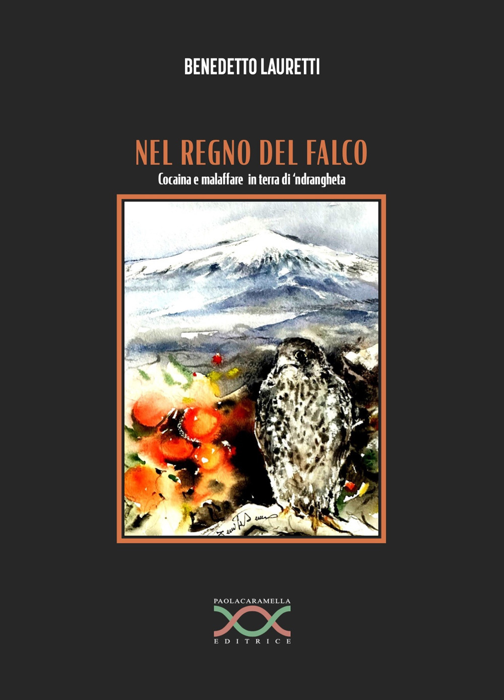 Nel regno del falco. Cocaina e malaffare in terra di 'ndrangheta