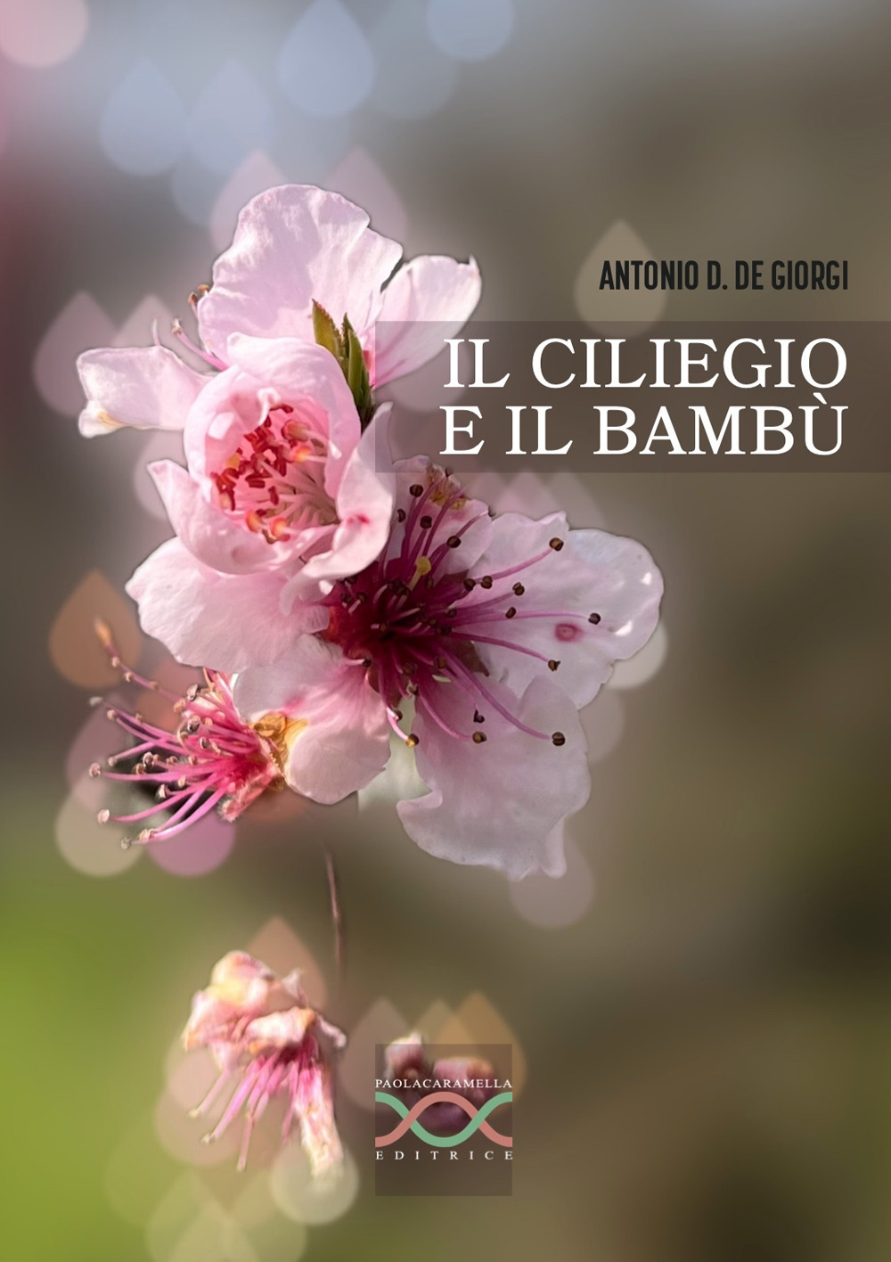 Il ciliegio e il bambù