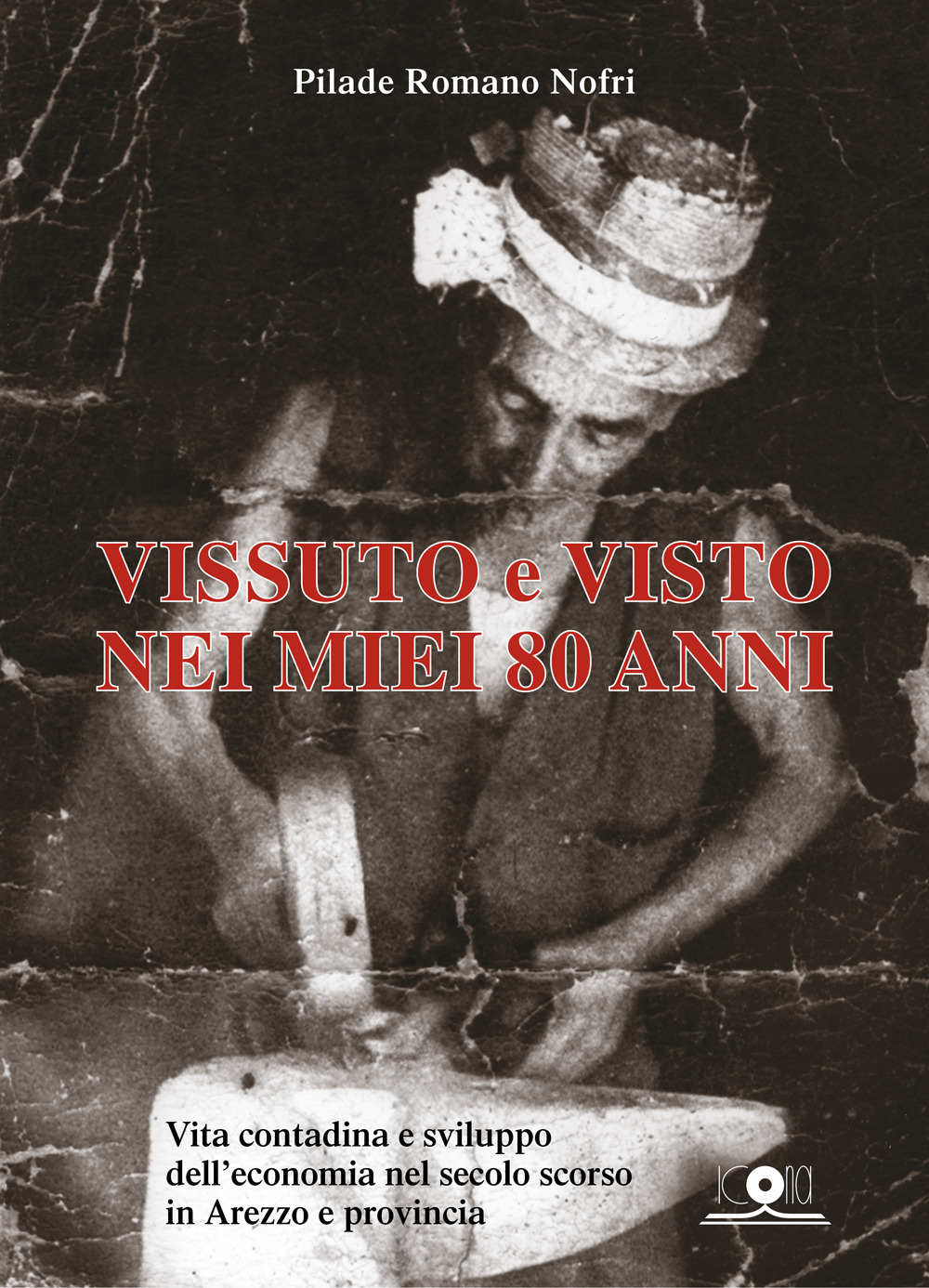 Vissuto e visto nei miei 80 anni. Vita contadina e sviluppo dell'economia nel secolo scorso in Arezzo e provincia