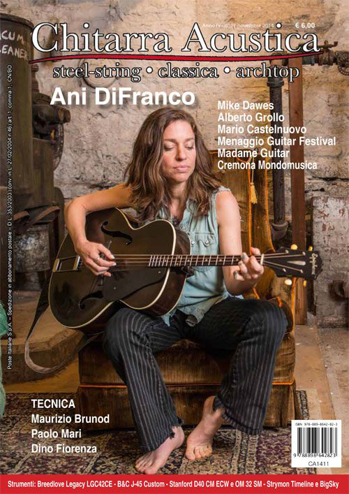 Chitarra acustica Novembre 2014