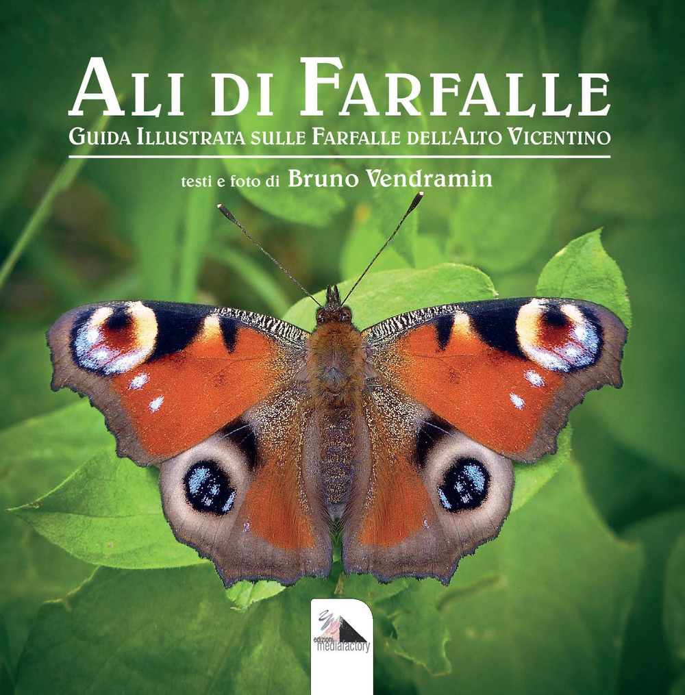 Ali di farfalle. Guida illustrata sulle farfalle del'Alto Vicentino. Ediz. illustrata