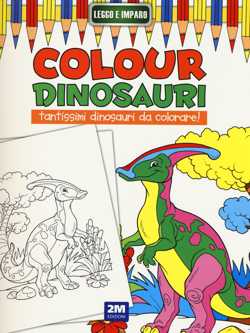 Colour dinosauri. Ediz. illustrata