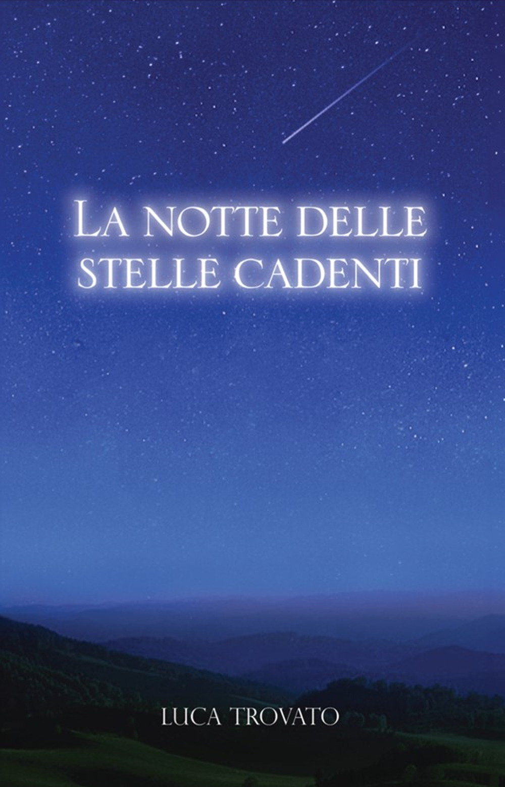 La notte delle stelle cadenti