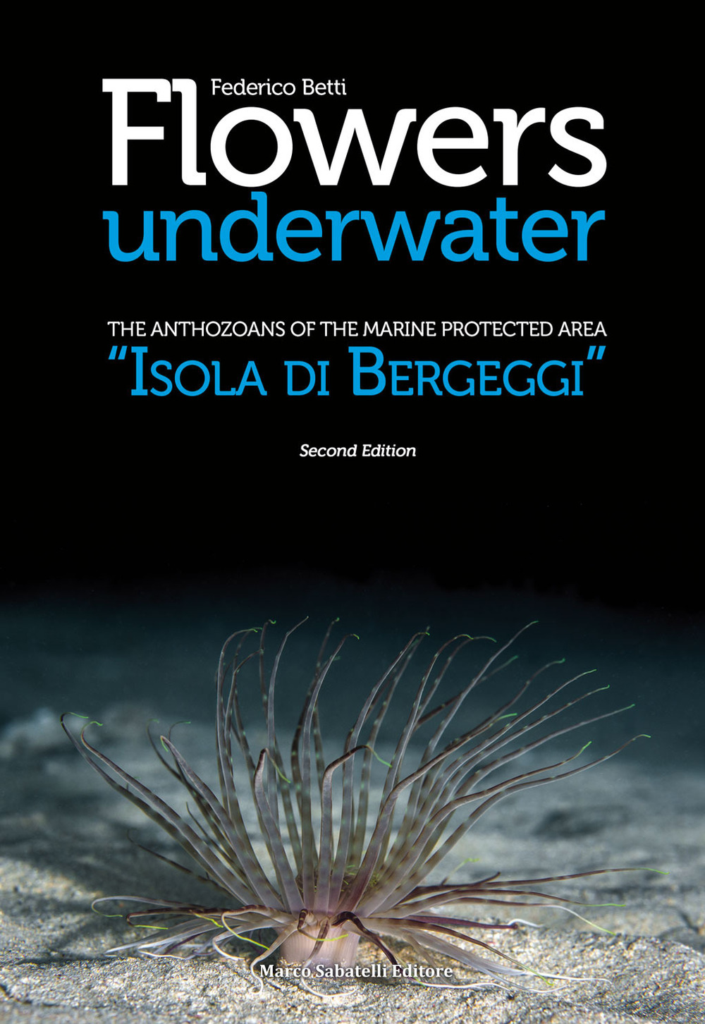 Flowers underwater. The anthozoas of the marine protected area «Isola di Bergeggi»