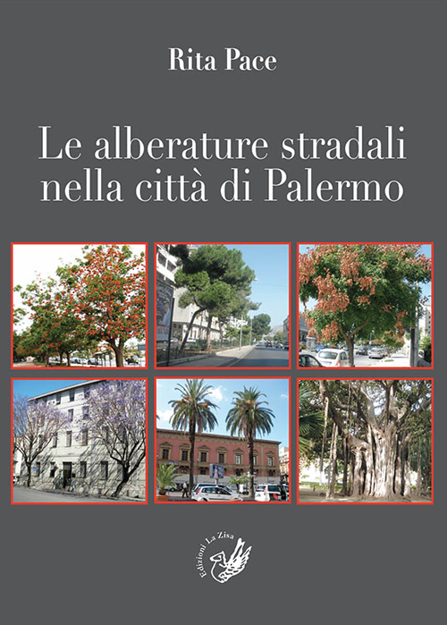 Le alberature stradali nella città di Palermo