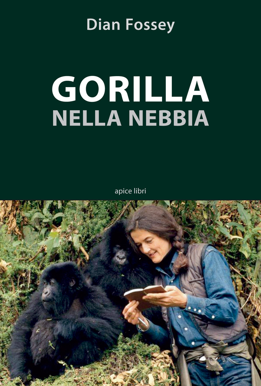 Gorilla nella nebbia