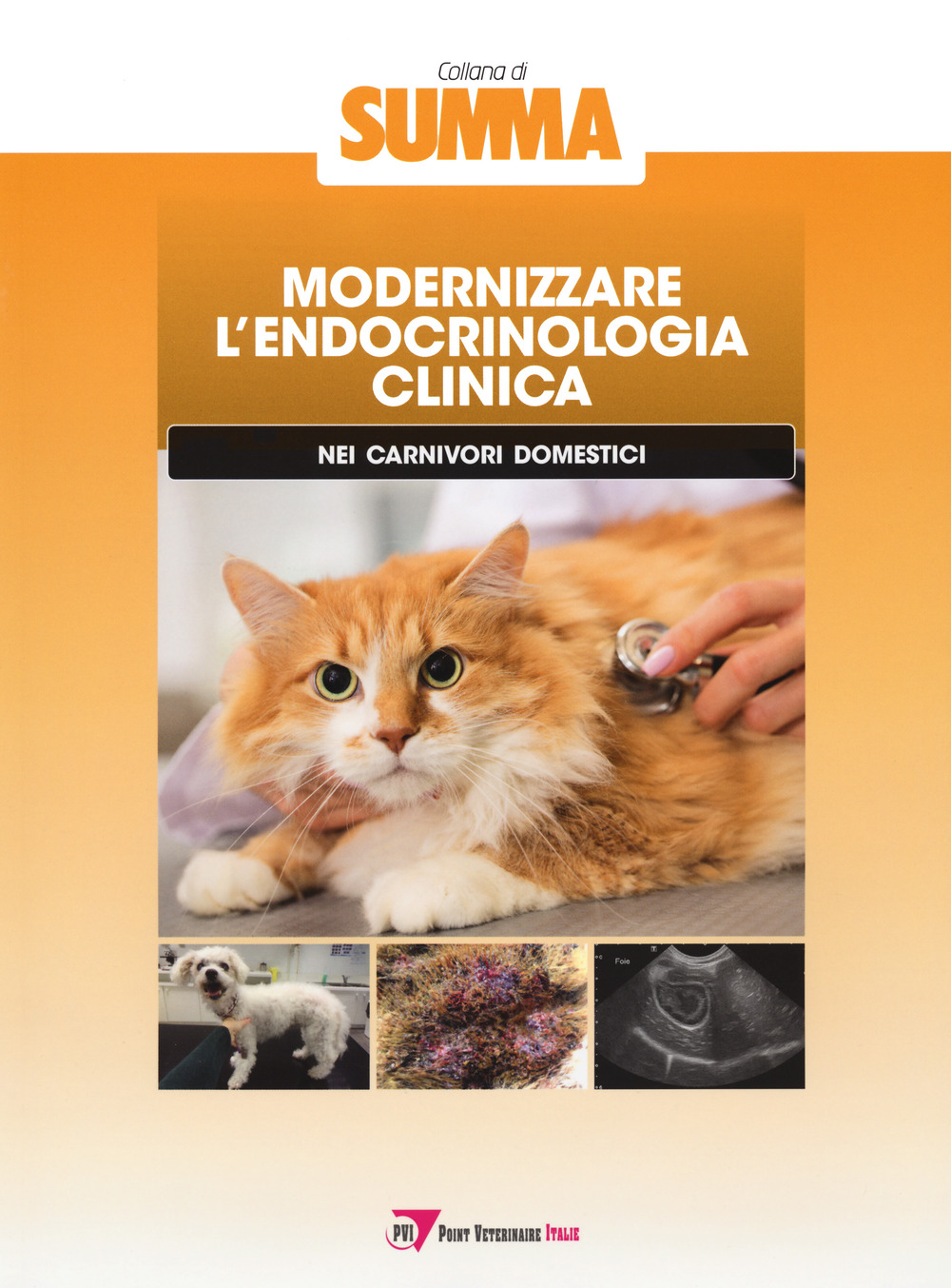 Modernizzare l'endocrinologia clinica nei carnivori domestici