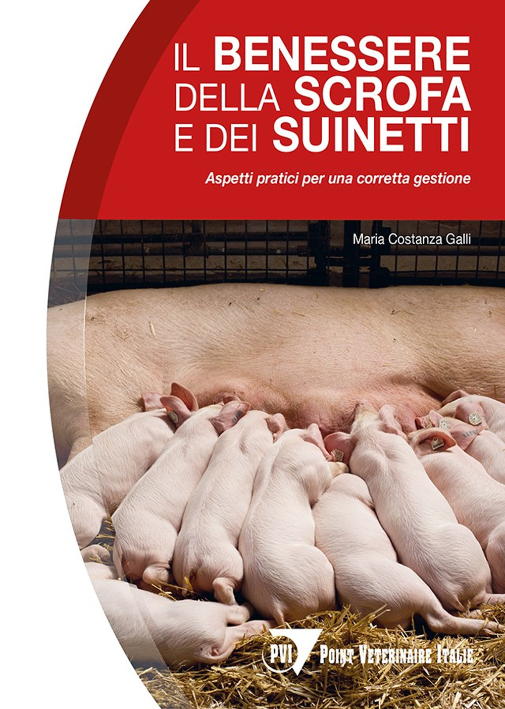 Il benessere della scrofa e dei suinetti