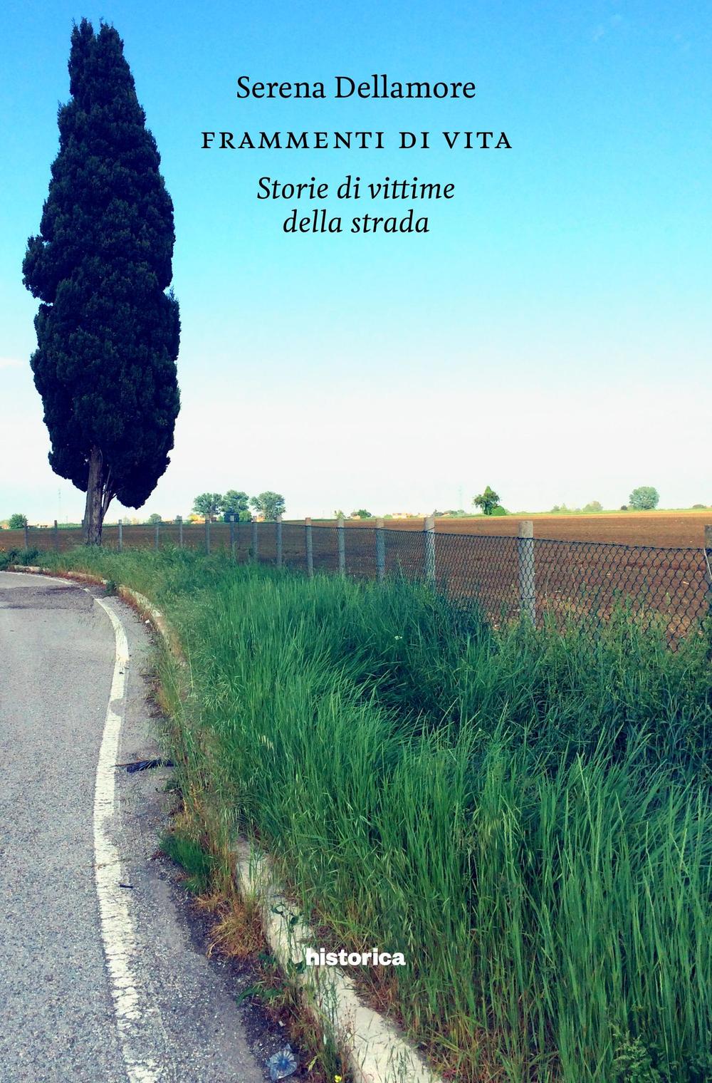 Frammenti di vita. Storia di vittime della strada