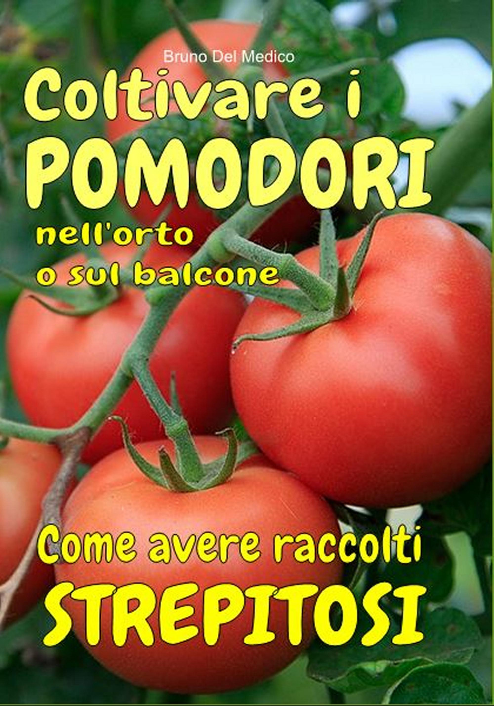 Coltivare i pomodori nell'orto. Come avere raccolti strepitosi. Dalla semina alla raccolta. Varietà, cure colturali, malattie, parassiti, concimazione, potatura.