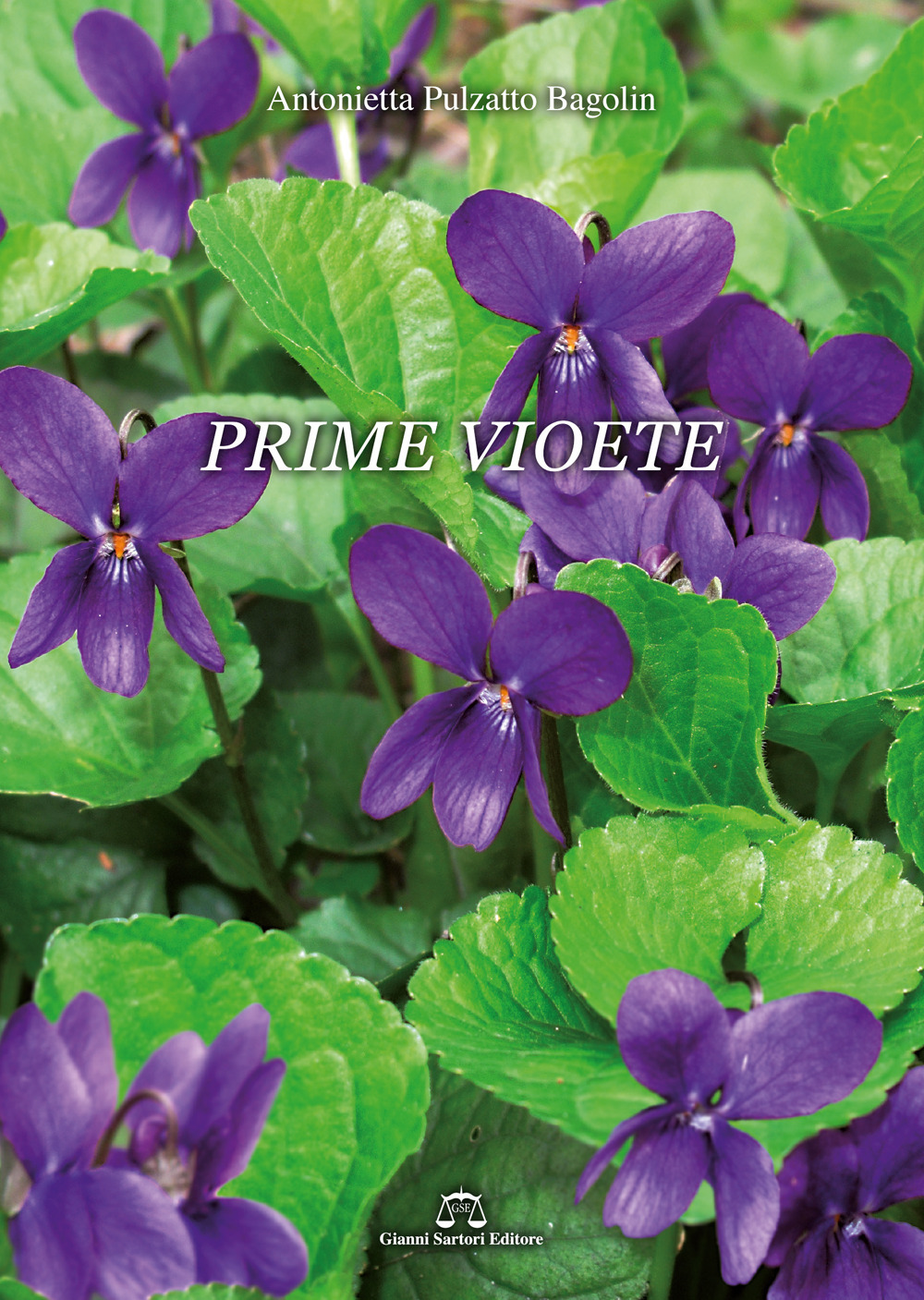 Prime vioete