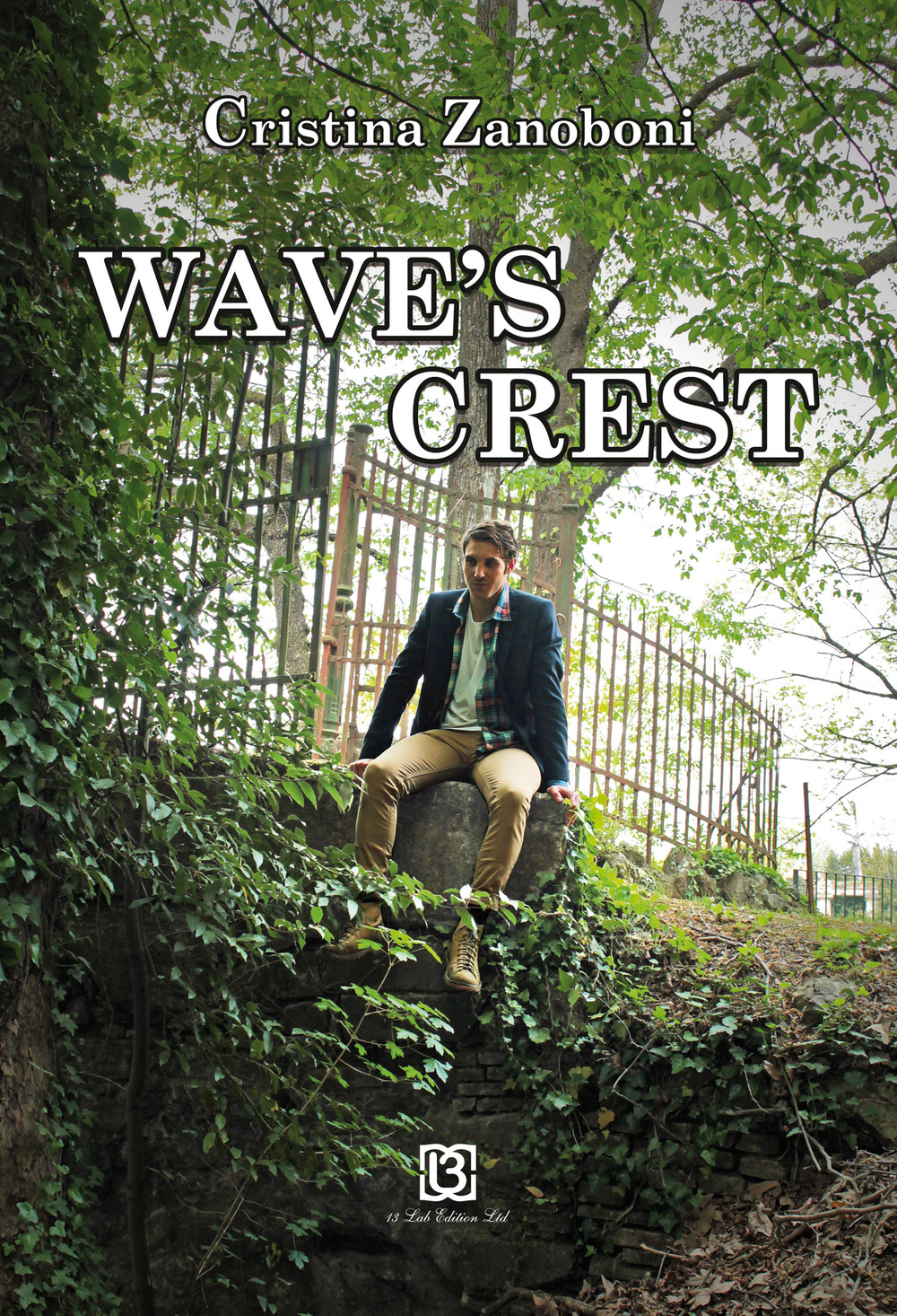 Wave's crest