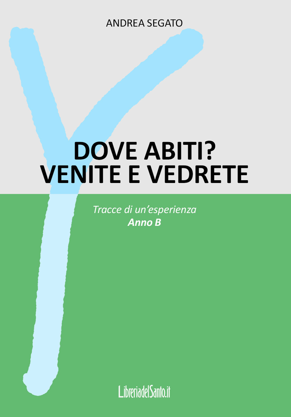 Dove abiti? Venite e vedrete. Tracce di un'esperienza. Anno B