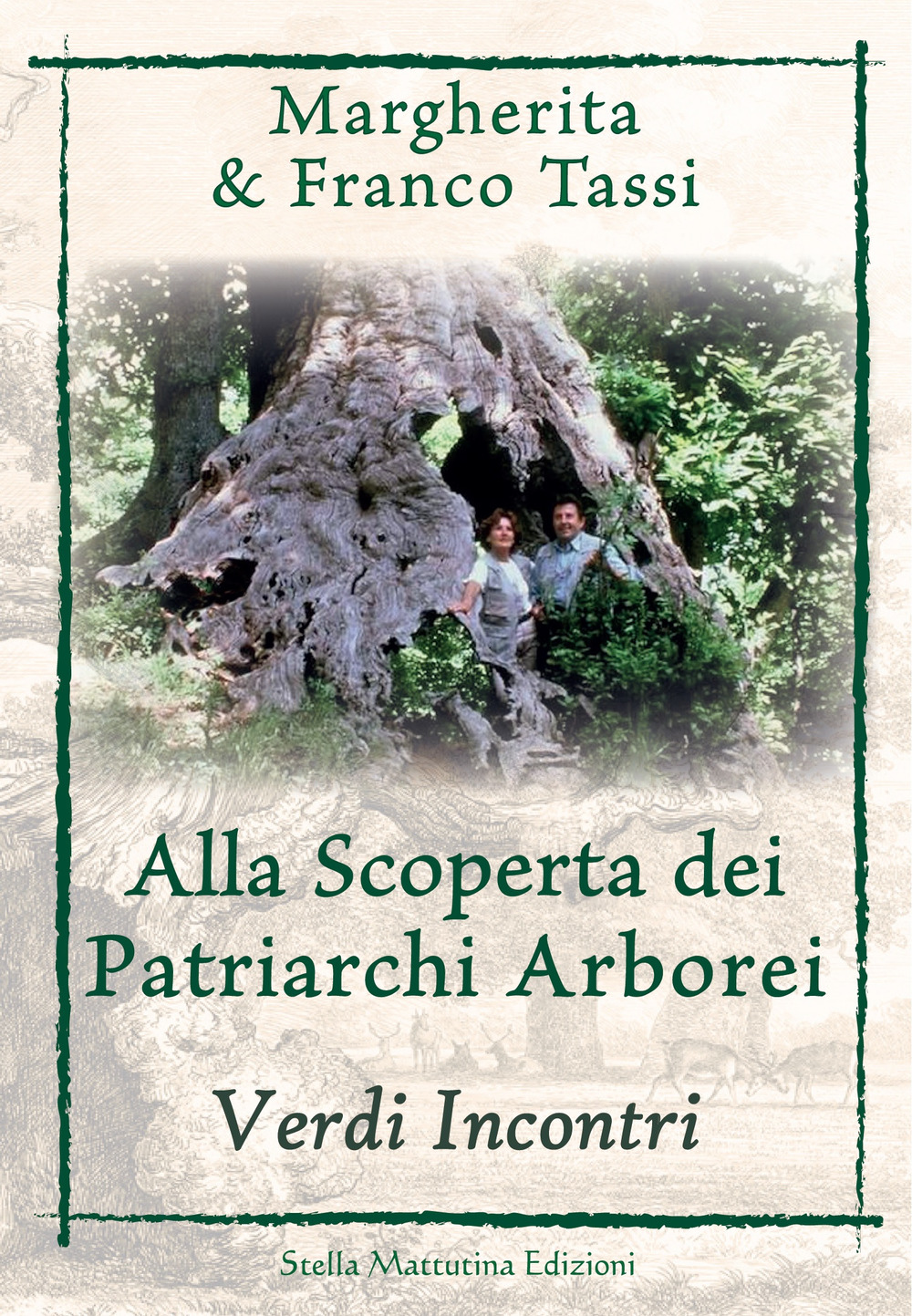 Alla scoperta dei patriarchi arborei. Verdi incontri