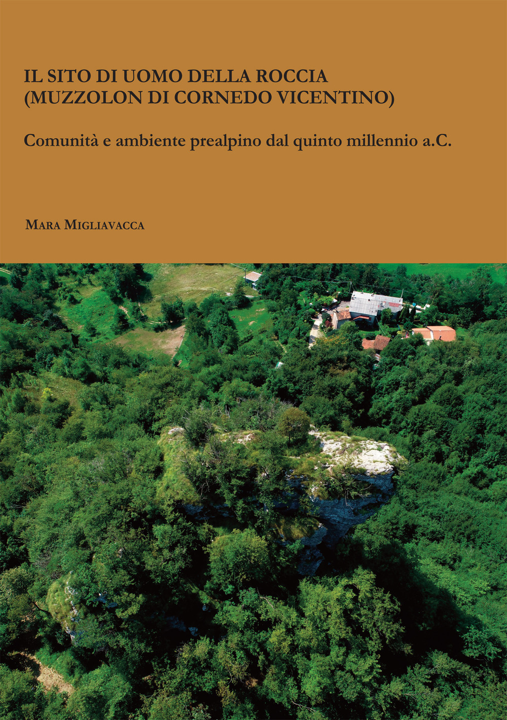 Il sito di Uomo della Roccia (Muzzolon di Cornedo Vicentino). Comunità e ambiente prealpino dal quinto millennio a.C.