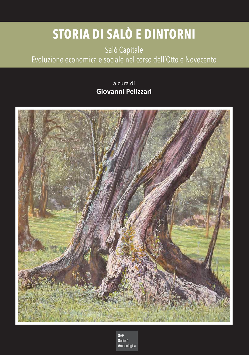 Storia di Salò e dintorni. Vol. 4: Salò Capitale. Evoluzione economica e sociale nel corso dell'Otto e Novecento