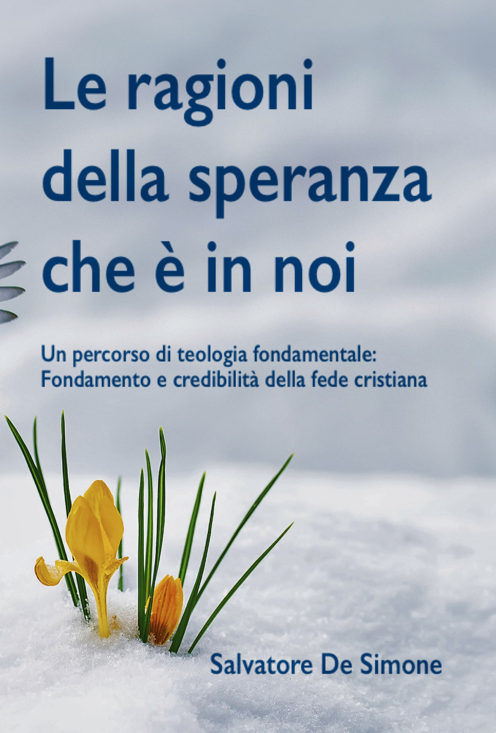 Le ragioni della speranza che è in noi. Un percorso di teologia fondamentale: fondamento e credibilità della fede cristiana. Ediz. integrale