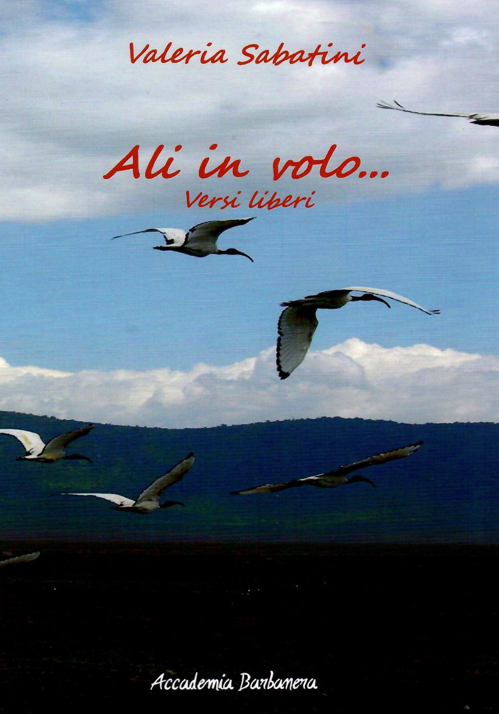 Ali in volo. Versi liberi