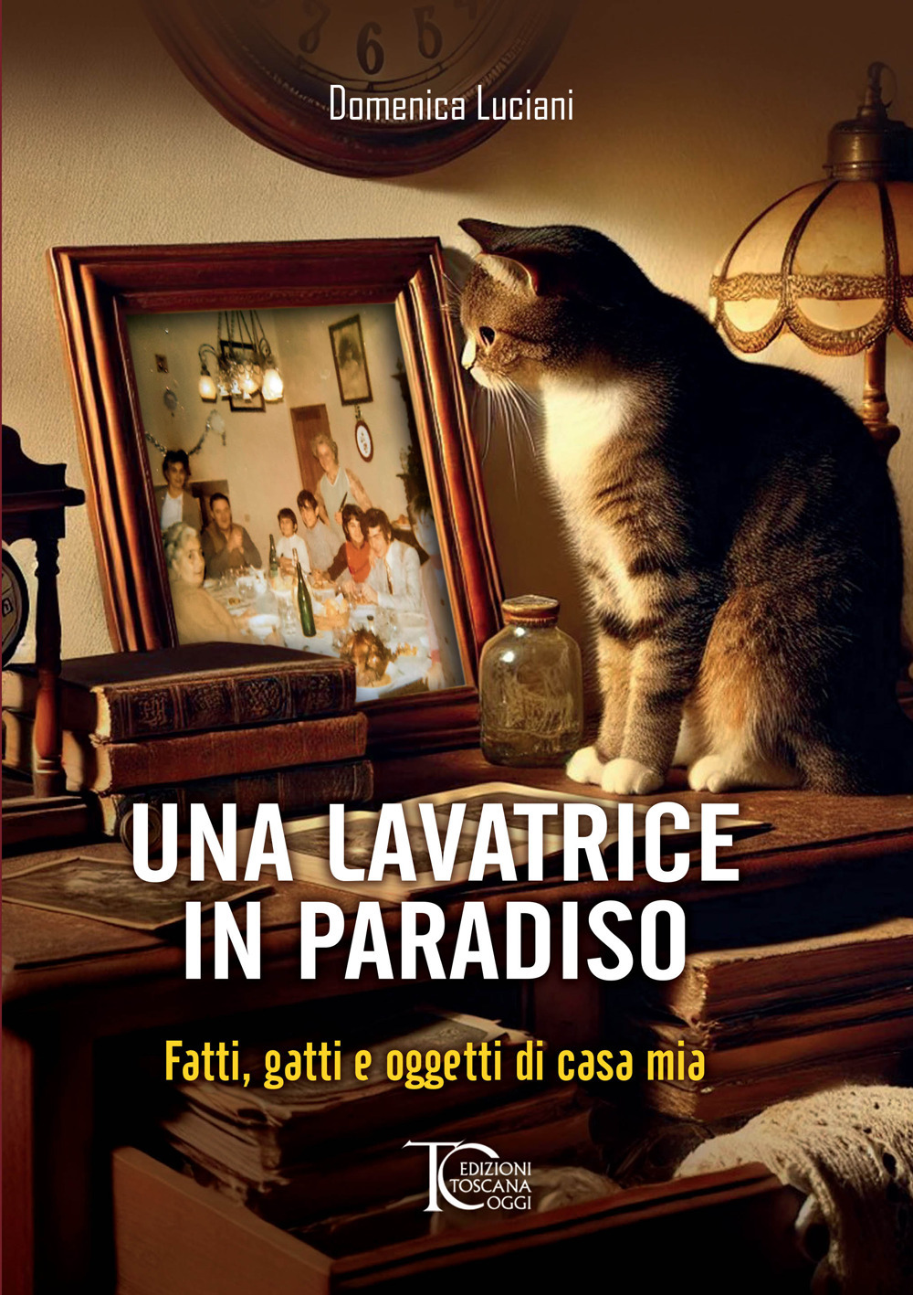 Una lavatrice in paradiso. Fatti, gatti e oggetti di casa mia