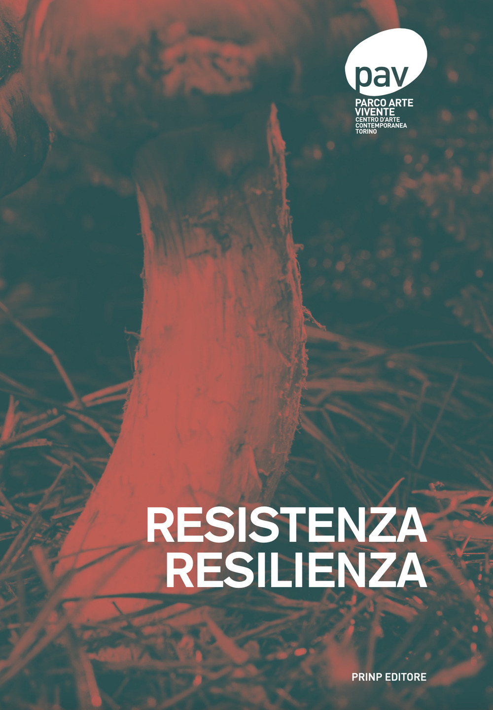 Resistenza. Resilienza. Ediz. italiana e inglese