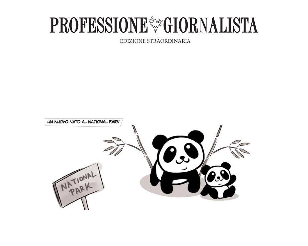 Kit professione giornalista