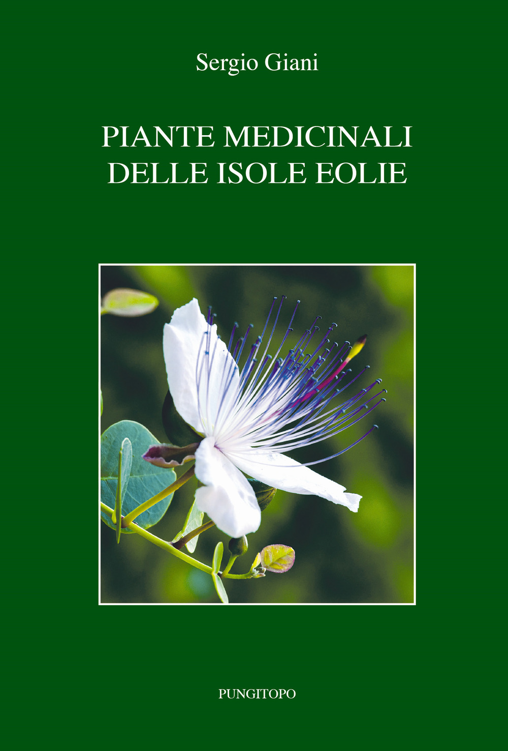 Piante medicinali delle isole Eolie