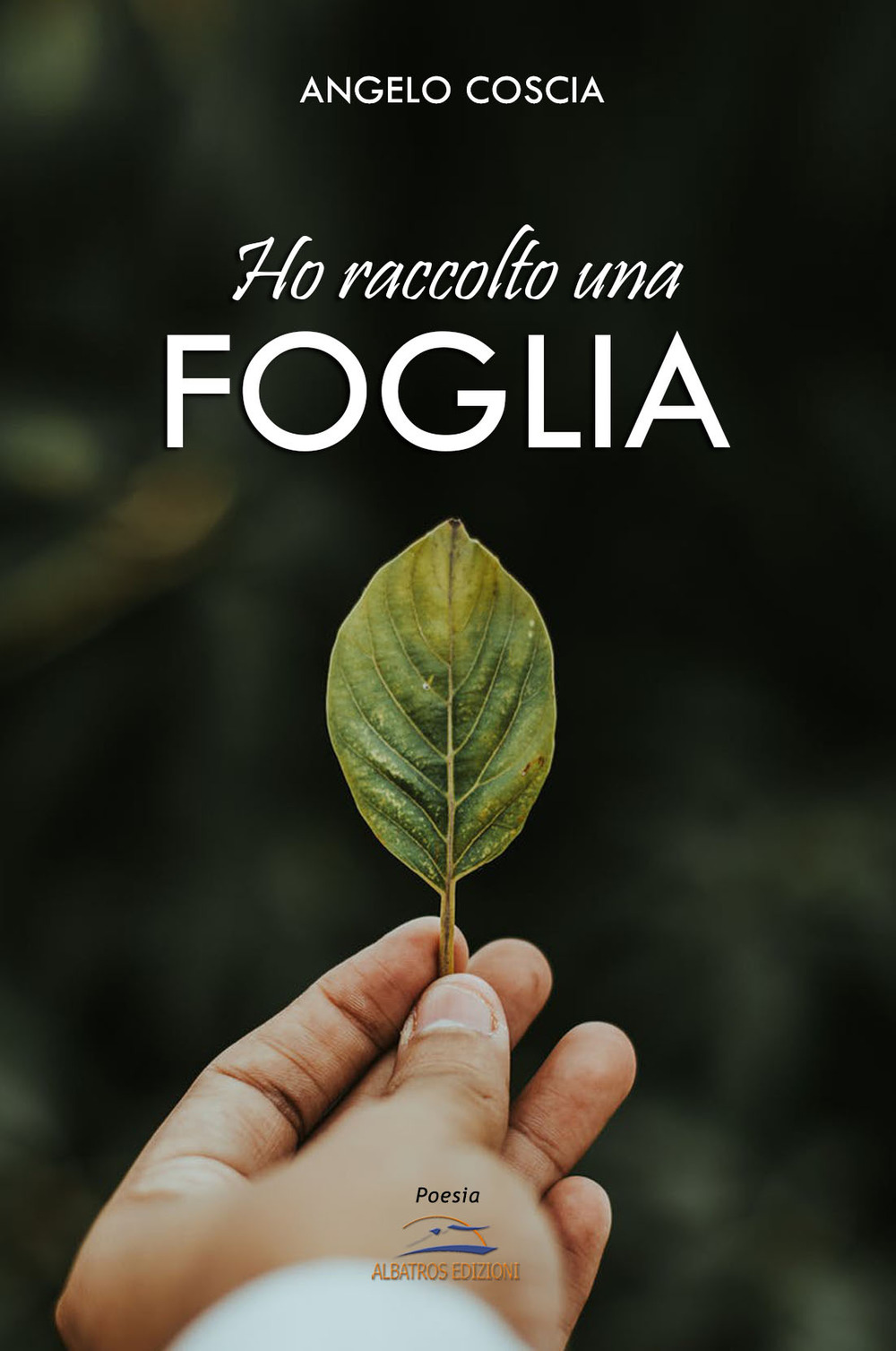 Ho raccolto una foglia