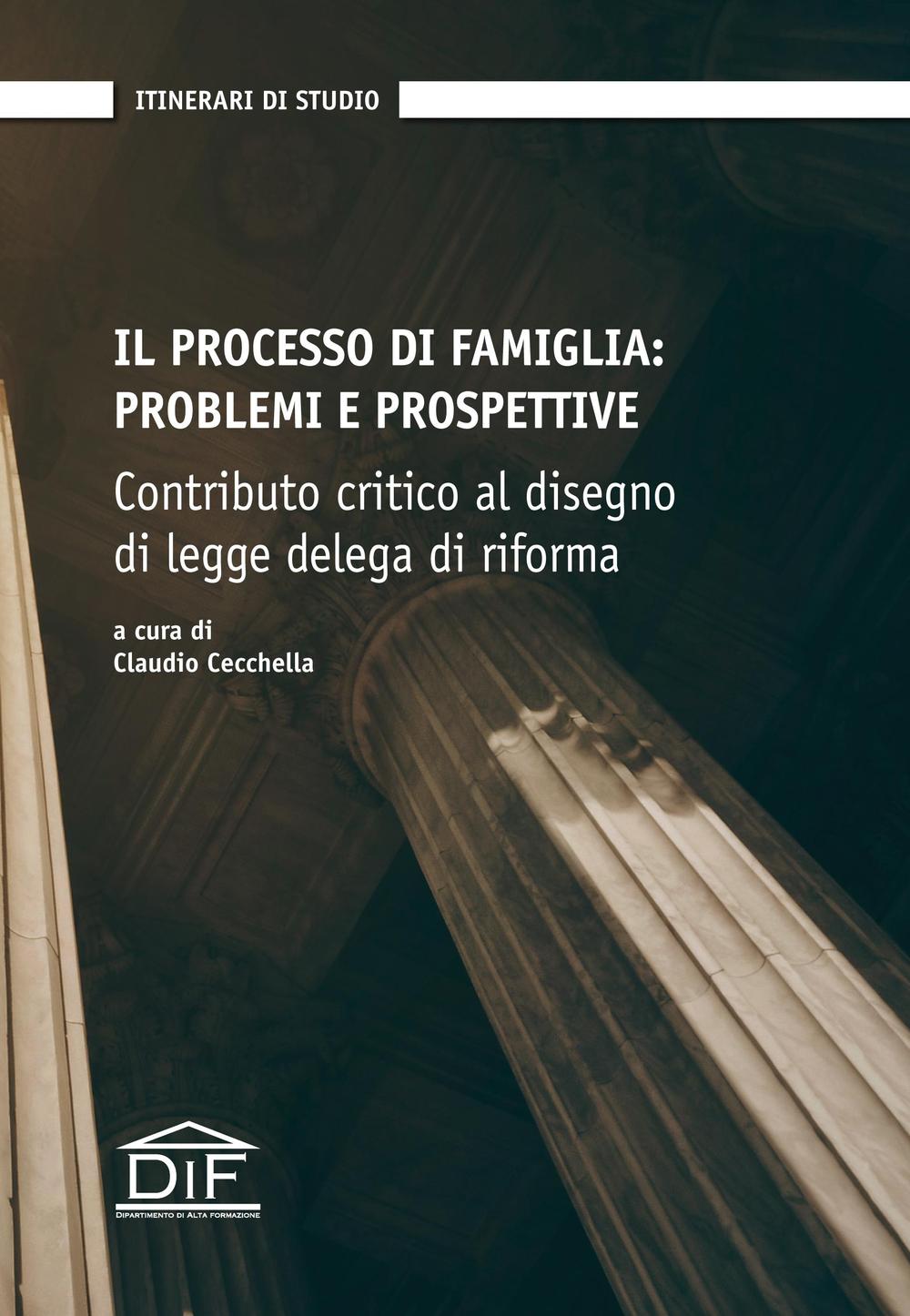 Il processo di famiglia. Problemi e prospettive. Contributo critico al disegno di legge delega di riforma