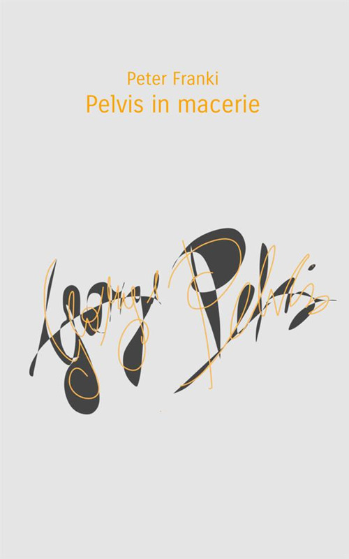 Pelvis in macerie